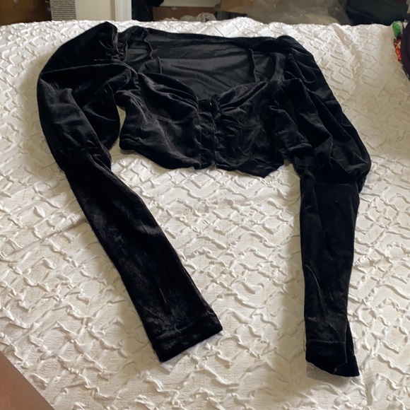 Elegant Black Velvet Crop Balloon Sleeve Top - Picture 2 of 3